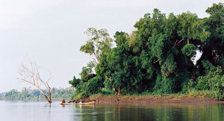 Villagers canoeing on the Rufji Delta