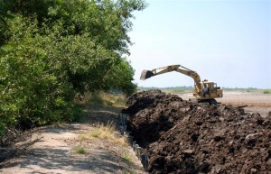 2-digger-5-medium The major predator of mangroves: earthmoving equipment.