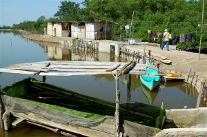 3-pedro-and-pond-1-medium Shrimp farm near Huaquillas, where Ecuadorian shrimp farming began.