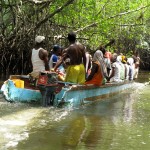 boat-trip-5-medium Conchera boat negotiates narrow mangrove channels.