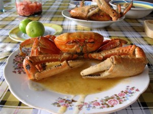 cooked-crab-medium2 Mud crab on the plate.
