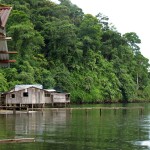 jungle-village-medium Village in Peninsula Valiente.