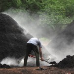 Carbonero attends a smouldering charcoal mound.